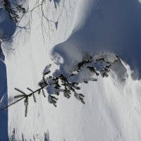 К Новому году :: Павел Трунцев К Новому году :: Павел Трунцев