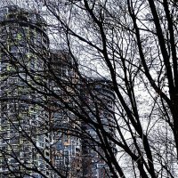 Три башни. :: Василий Палий