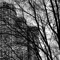 Три башни. Монохром. :: Василий Палий