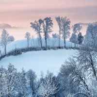 winter morning :: Elena Wymann