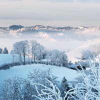 winter view :: Elena Wymann