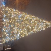 Ёлка :: Сапсан 