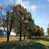 Октябрь :: Veera V