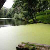 Пруд в усадьбе Тарханы. Пензенская область :: MILAV V