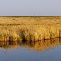 Весенний пейзаж. :: сергей ермошкин