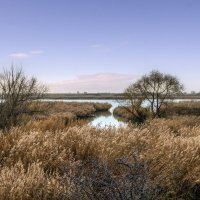 Мертвый Донец. :: Александр. AVG100 ---