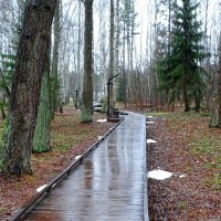 Такая зима! :: Милешкин Владимир Алексеевич 