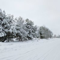 Уютная,снежная прогулка :: Анастасия Логинова