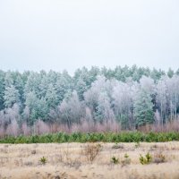 ______ :: Галина Ложечникова