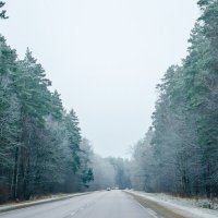 ____ :: Галина Ложечникова