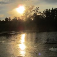 закат за городом :: Елена Шаламова