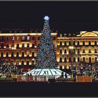 Питерские ёлки. :: Лия ☼