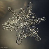 Снежинка :: Андрей Пристяжнюк