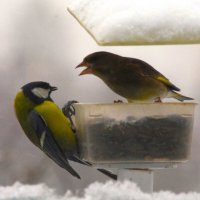 ... :: Юрий Куликов