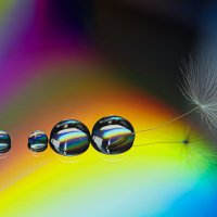 Найди себе радугу :: Игорь Шевченко