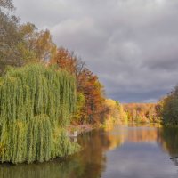 Осенний пруд... :: Владимир Жданов