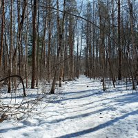 *** :: веселов михаил 