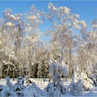 Морозная тишина :: Геннадий Худолеев Худолеев