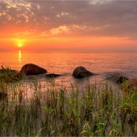 *** :: Алексей Говорушкин 