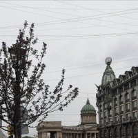 Лето 2025. Июнь :: Наталья Герасимова