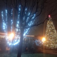 Новогодние украшения :: Сапсан 