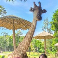 Встреча :: Георгиевич 