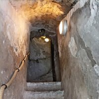 Неужели дошла! :: Veera V