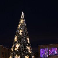 Городская ёлка :: Ольга 