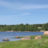 Финский залив :: Александр Ильчевский 