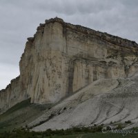 Природа Крыма :: Amazing Cosmea
