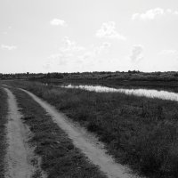 Фотография :: Денис Безногов