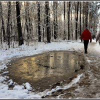 Зимняя прогулка :: Aleksandr Gal