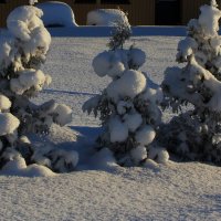 Зимнее .. :: Татьян@ Ивановна