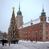 Предновогодняя пора :: Alexandеr P