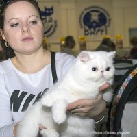 Фото с выставки :: Светлана Ищенко