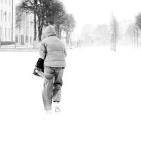 Метель... :: Влад Никишин