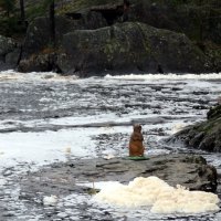 Рускеала. :: Ирина ***