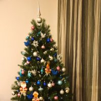 Домашняя елочка. :: Юрий Полторыхин.