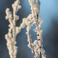 *** :: Виктор Иванович Чернюк