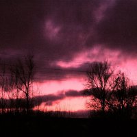 Тревожный вечер :: Людмила Смородинская