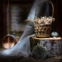 Б/Н :: Владимир Нефедов