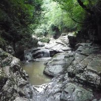 АГУРСКИЕ ВОДОПАДЫ СОЧИ :: Tata Wolf