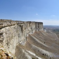 Природа Крыма :: Amazing Cosmea