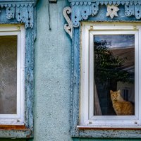 Рыжик :: Михаил К