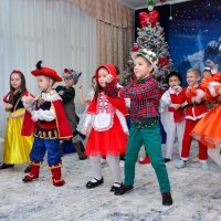 Ёлки по городу мчатся 4... :: александр донченко