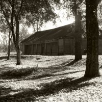 Усадьба Рериха :: Наталья 