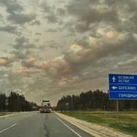 "дорога к родному дому" :: Olga Oskolkova