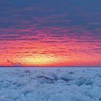 Про Питер :: Владимир Колесников