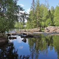 Бешеная :: Владимир Соколов (svladmir)