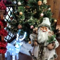 В гостях у Йыулувана :: Veera V